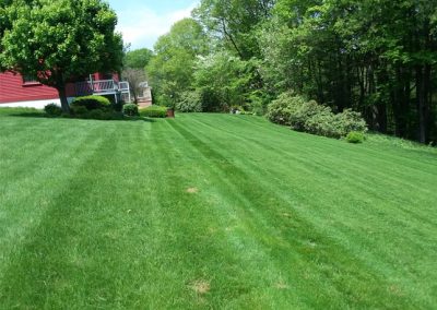 Clippings Removed From Fresh Cut Lawns